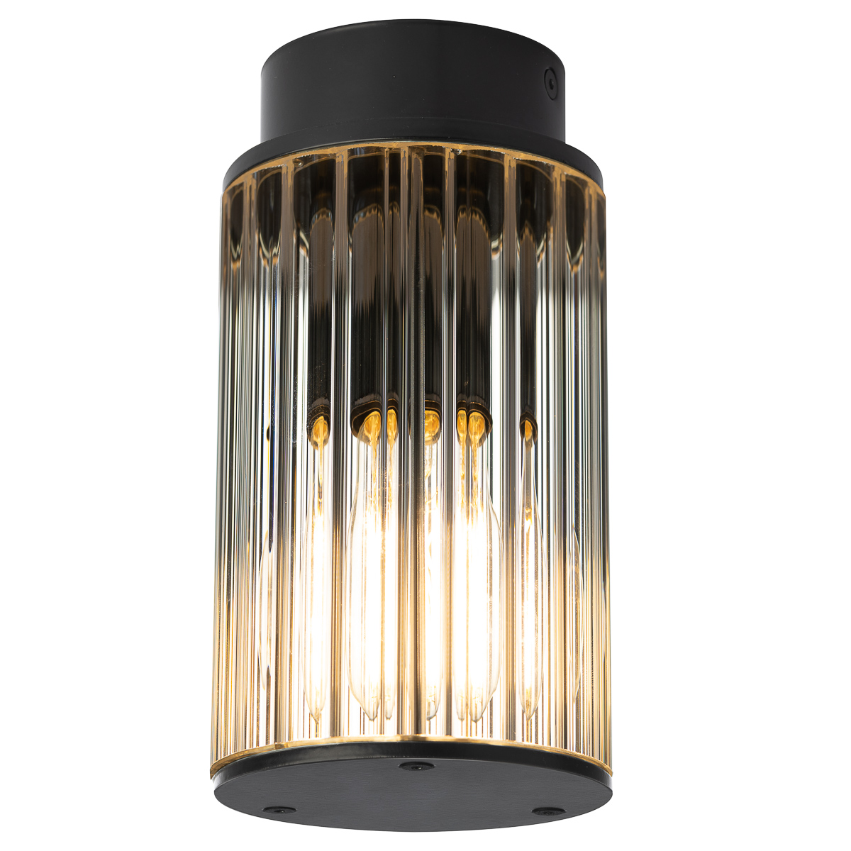 What are the best salt-resistant outdoor ceiling lights for coastal homes?
