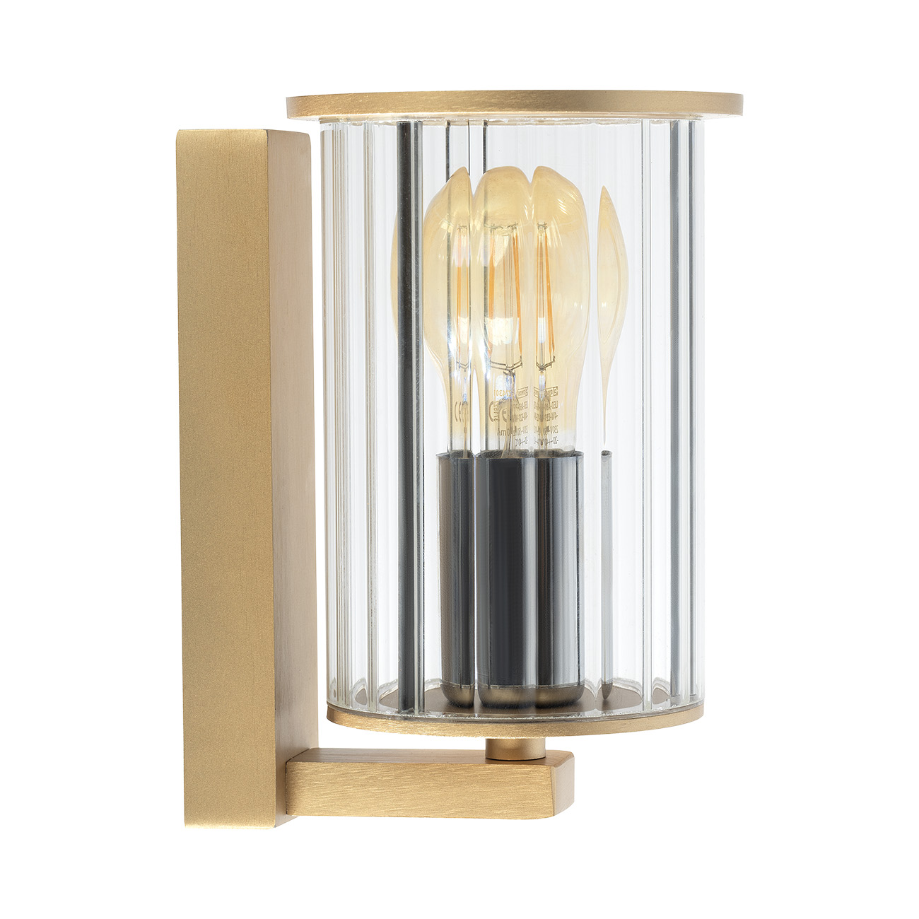 Which outdoor wall lights are dark-sky compliant?
